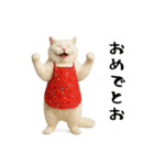 お猫様の吹き出しスタンプ3（個別スタンプ：5）