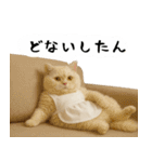 お猫様の吹き出しスタンプ3（個別スタンプ：9）