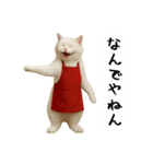 お猫様の吹き出しスタンプ3（個別スタンプ：10）