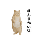 お猫様の吹き出しスタンプ3（個別スタンプ：12）