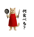 お猫様の吹き出しスタンプ3（個別スタンプ：13）