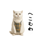 お猫様の吹き出しスタンプ3（個別スタンプ：18）