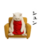 お猫様の吹き出しスタンプ3（個別スタンプ：19）