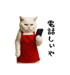 お猫様の吹き出しスタンプ3（個別スタンプ：21）