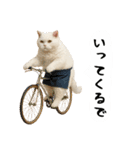 お猫様の吹き出しスタンプ3（個別スタンプ：22）