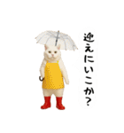 お猫様の吹き出しスタンプ3（個別スタンプ：23）