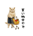 お猫様の吹き出しスタンプ3（個別スタンプ：25）