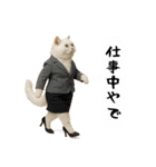 お猫様の吹き出しスタンプ3（個別スタンプ：26）