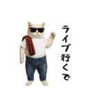 お猫様の吹き出しスタンプ3（個別スタンプ：27）