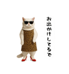 お猫様の吹き出しスタンプ3（個別スタンプ：28）