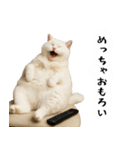 お猫様の吹き出しスタンプ3（個別スタンプ：32）