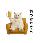 お猫様の吹き出しスタンプ3（個別スタンプ：33）