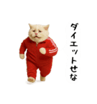 お猫様の吹き出しスタンプ3（個別スタンプ：35）