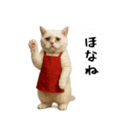 お猫様の吹き出しスタンプ3（個別スタンプ：36）