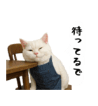 お猫様の吹き出しスタンプ3（個別スタンプ：37）