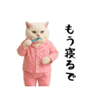お猫様の吹き出しスタンプ3（個別スタンプ：39）
