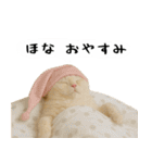 お猫様の吹き出しスタンプ3（個別スタンプ：40）