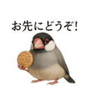【癒し】リアルすぎる文鳥ののんびりカフェ（個別スタンプ：2）