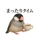 【癒し】リアルすぎる文鳥ののんびりカフェ（個別スタンプ：3）