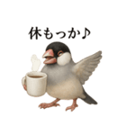 【癒し】リアルすぎる文鳥ののんびりカフェ（個別スタンプ：14）