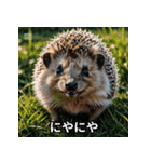 「ハリネズミの感情爆発（個別スタンプ：1）