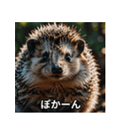 「ハリネズミの感情爆発（個別スタンプ：5）