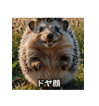 「ハリネズミの感情爆発（個別スタンプ：6）