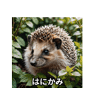 「ハリネズミの感情爆発（個別スタンプ：11）