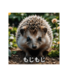 「ハリネズミの感情爆発（個別スタンプ：12）