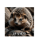 「ハリネズミの感情爆発（個別スタンプ：18）