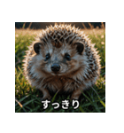 「ハリネズミの感情爆発（個別スタンプ：20）