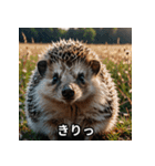 「ハリネズミの感情爆発（個別スタンプ：22）