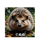 「ハリネズミの感情爆発（個別スタンプ：23）