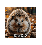 「ハリネズミの感情爆発（個別スタンプ：24）