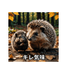 「ハリネズミの感情爆発（個別スタンプ：25）