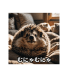「ハリネズミの感情爆発（個別スタンプ：30）
