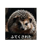 「ハリネズミの感情爆発（個別スタンプ：39）