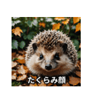「ハリネズミの感情爆発（個別スタンプ：40）