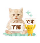 ラフな敬語の癒しやんこのキジトラクリーム（個別スタンプ：1）