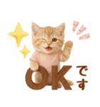 ラフな敬語の癒しやんこのキジトラクリーム（個別スタンプ：2）