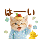ラフな敬語の癒しやんこのキジトラクリーム（個別スタンプ：3）