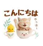 ラフな敬語の癒しやんこのキジトラクリーム（個別スタンプ：7）