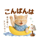 ラフな敬語の癒しやんこのキジトラクリーム（個別スタンプ：8）