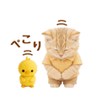 ラフな敬語の癒しやんこのキジトラクリーム（個別スタンプ：11）