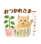 ラフな敬語の癒しやんこのキジトラクリーム（個別スタンプ：13）