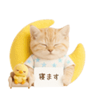 ラフな敬語の癒しやんこのキジトラクリーム（個別スタンプ：15）