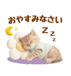 ラフな敬語の癒しやんこのキジトラクリーム（個別スタンプ：16）