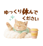 ラフな敬語の癒しやんこのキジトラクリーム（個別スタンプ：18）