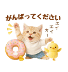ラフな敬語の癒しやんこのキジトラクリーム（個別スタンプ：23）