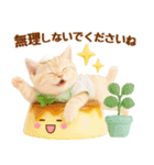 ラフな敬語の癒しやんこのキジトラクリーム（個別スタンプ：24）
